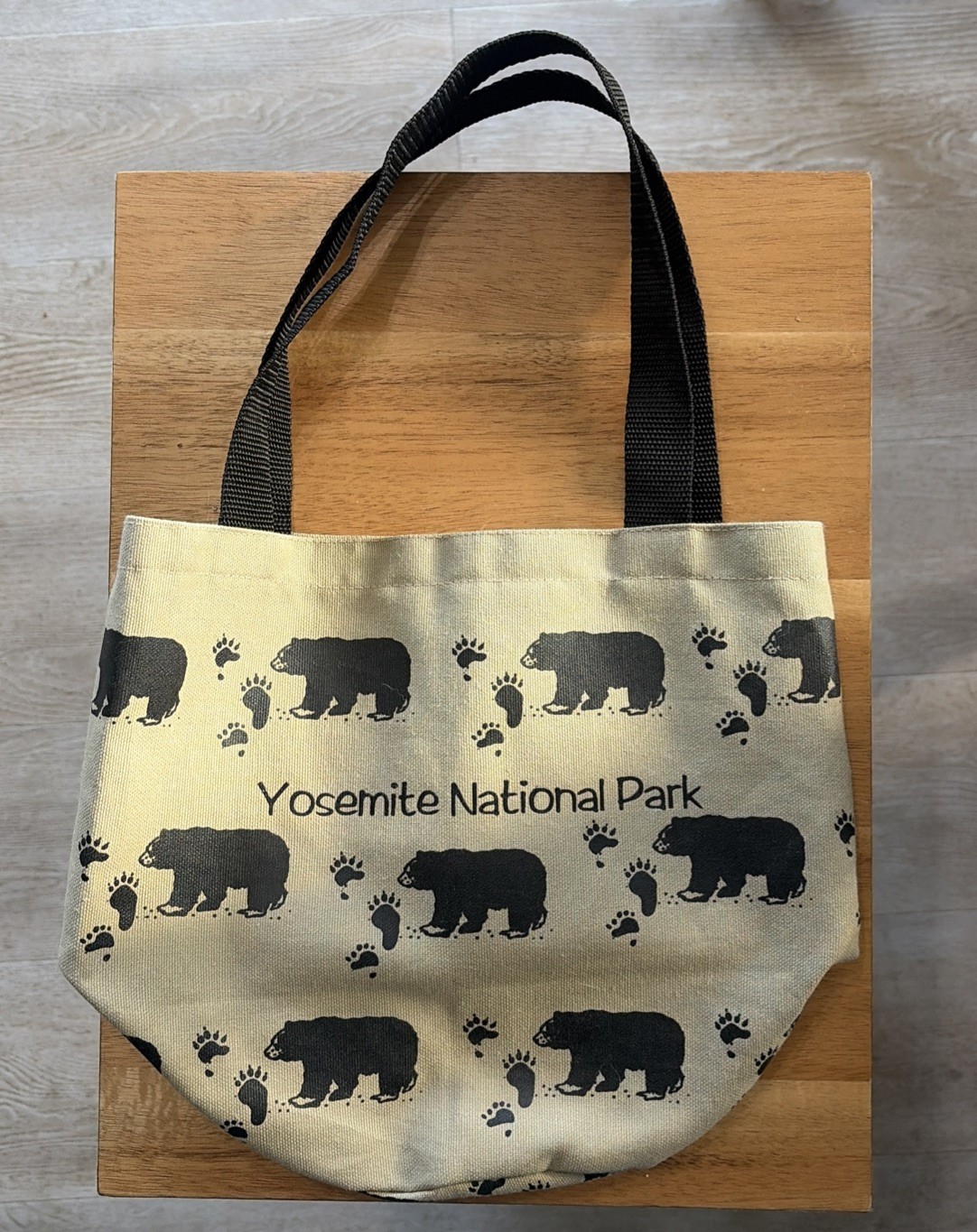 VTG Rare Find YOSEMITE National Park Small Bag Pouch Purse For Adult Or Child