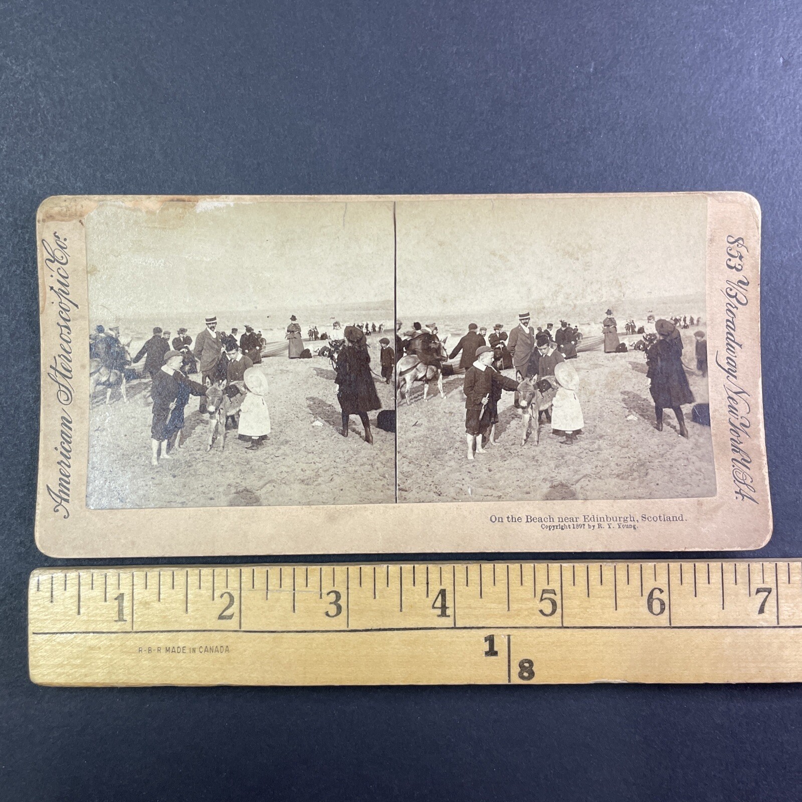 Edinburgh Scotland Beach Scene Stereoview American Stereoscopic Co. 1897 Donkey