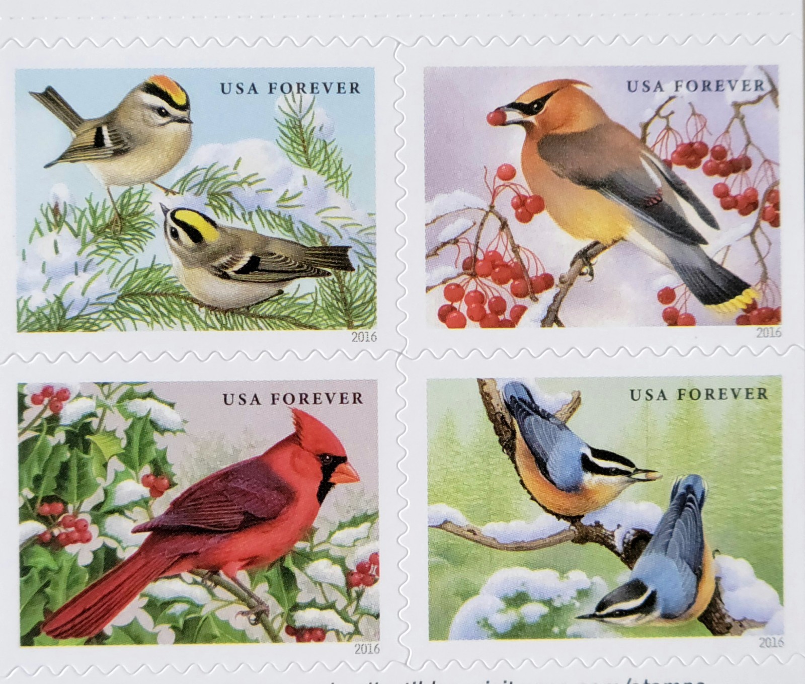 🐦  SHEET OF 20 FIRST CLASS LETTER \