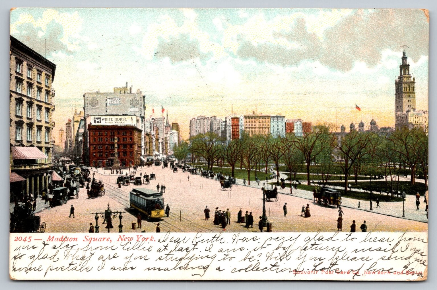 Vintage 1905 Madison Square Park New York City Postcard with Tram