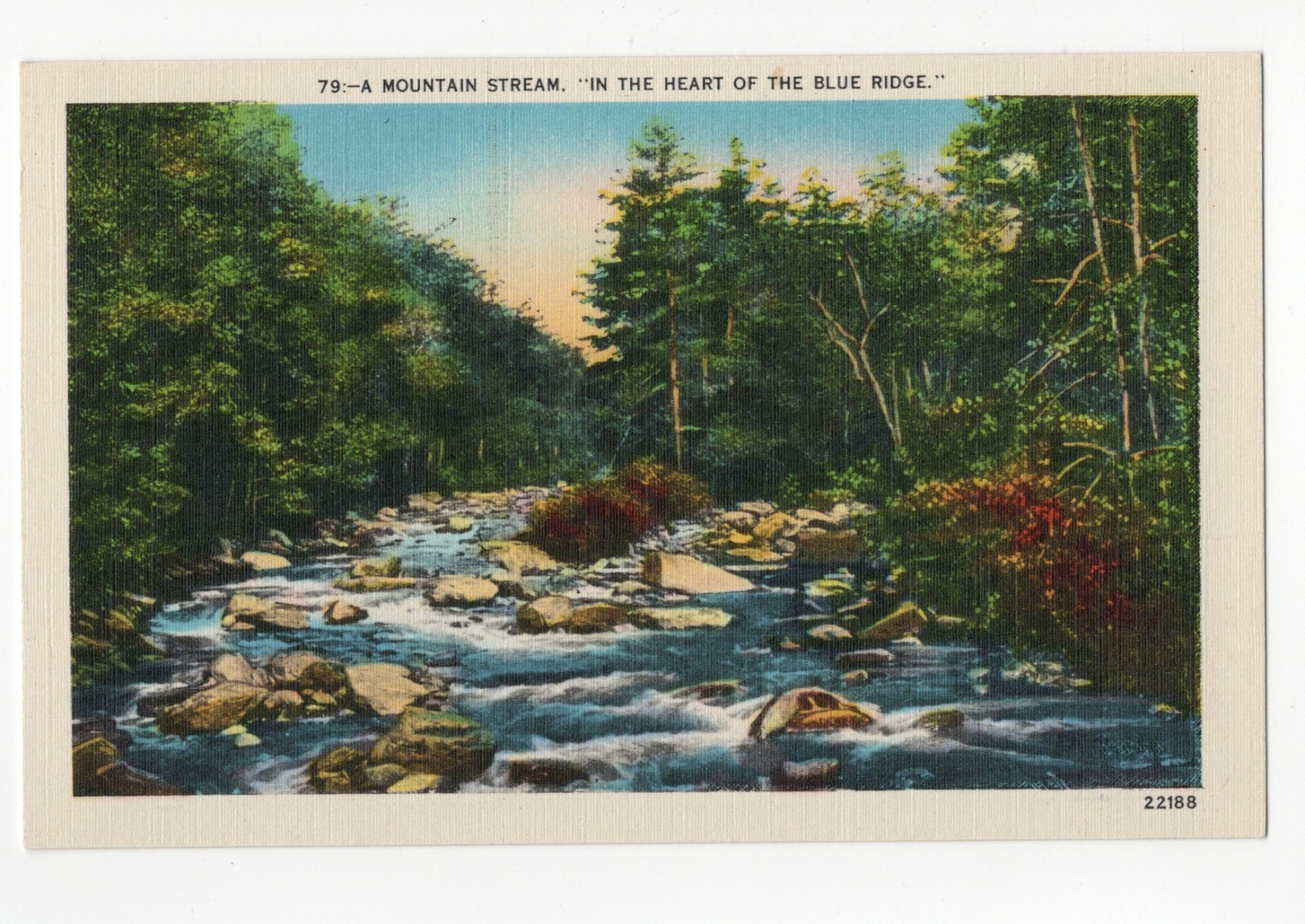 c1940 Blue Ridge Mountain Stream Scenic Linen Postcard 79