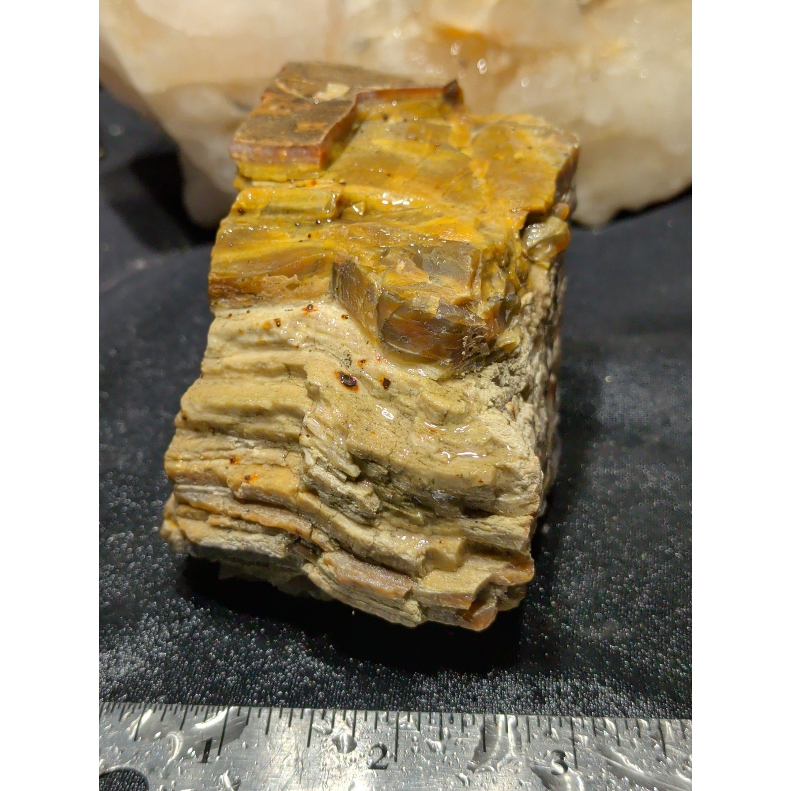 Petrified Wood Opalized Layered Specimen Natural Form (1lb 1oz)