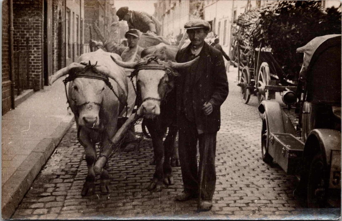 Man with Oxen Cart Street Scene Cobblestone Road RPPC Real Photo Postcard Man with Oxen Cart Street Scene Cobblestone Road RPPC Real Photo Postcard