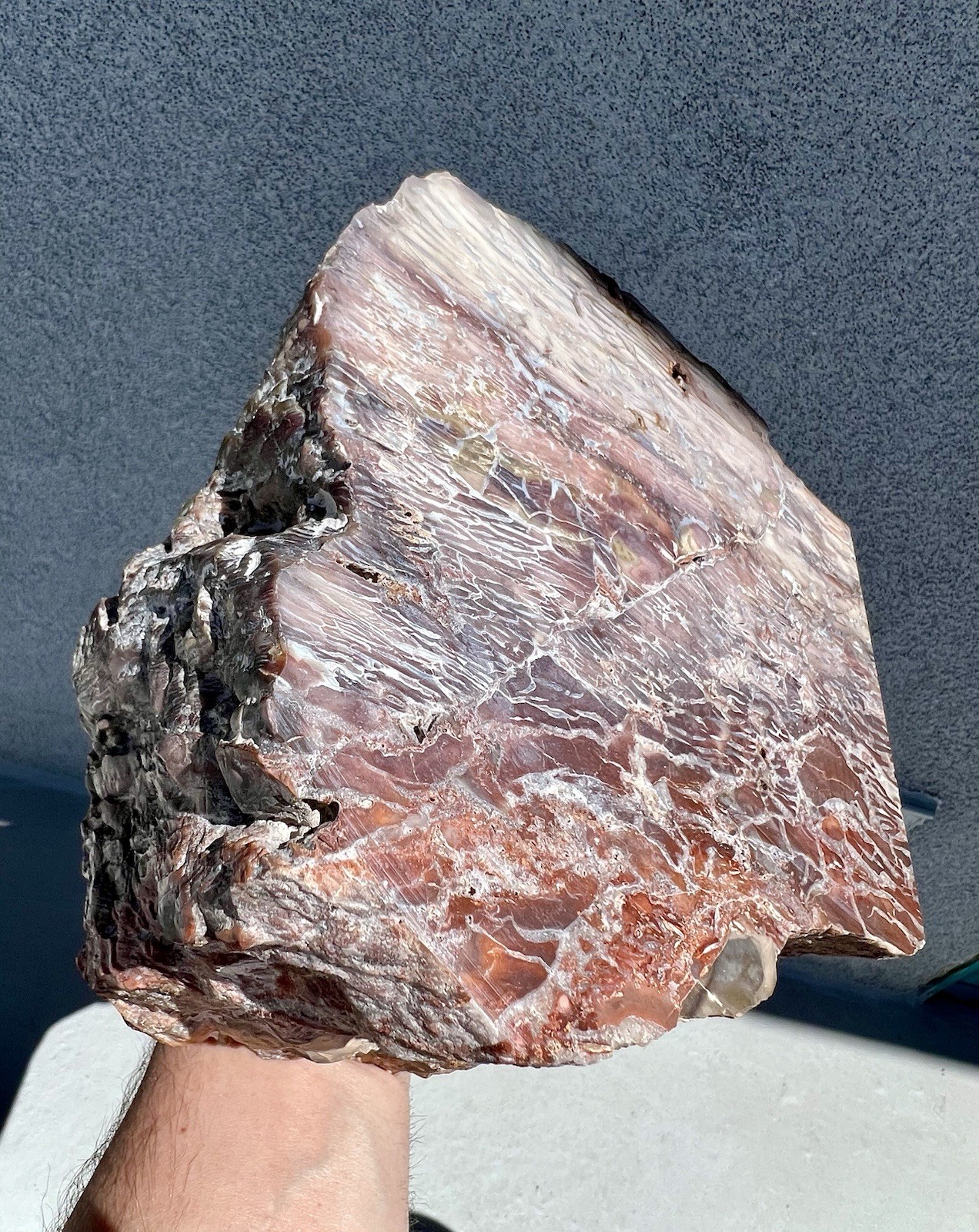 16.2 Pound: Howardite Silicated Volcanic Tuff Breccia with Opal-Filled Fractures
