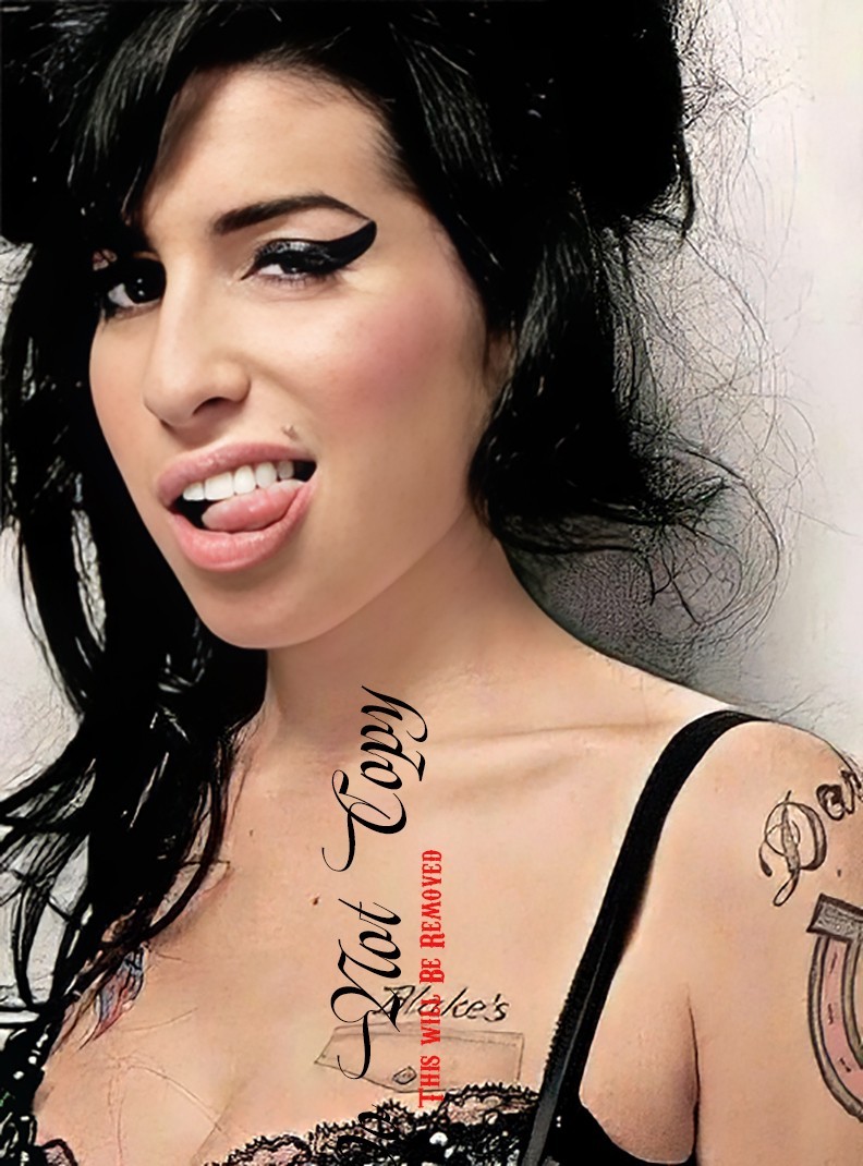 Amy Winehouse Framed Photo Collection REPRINTS 8.5