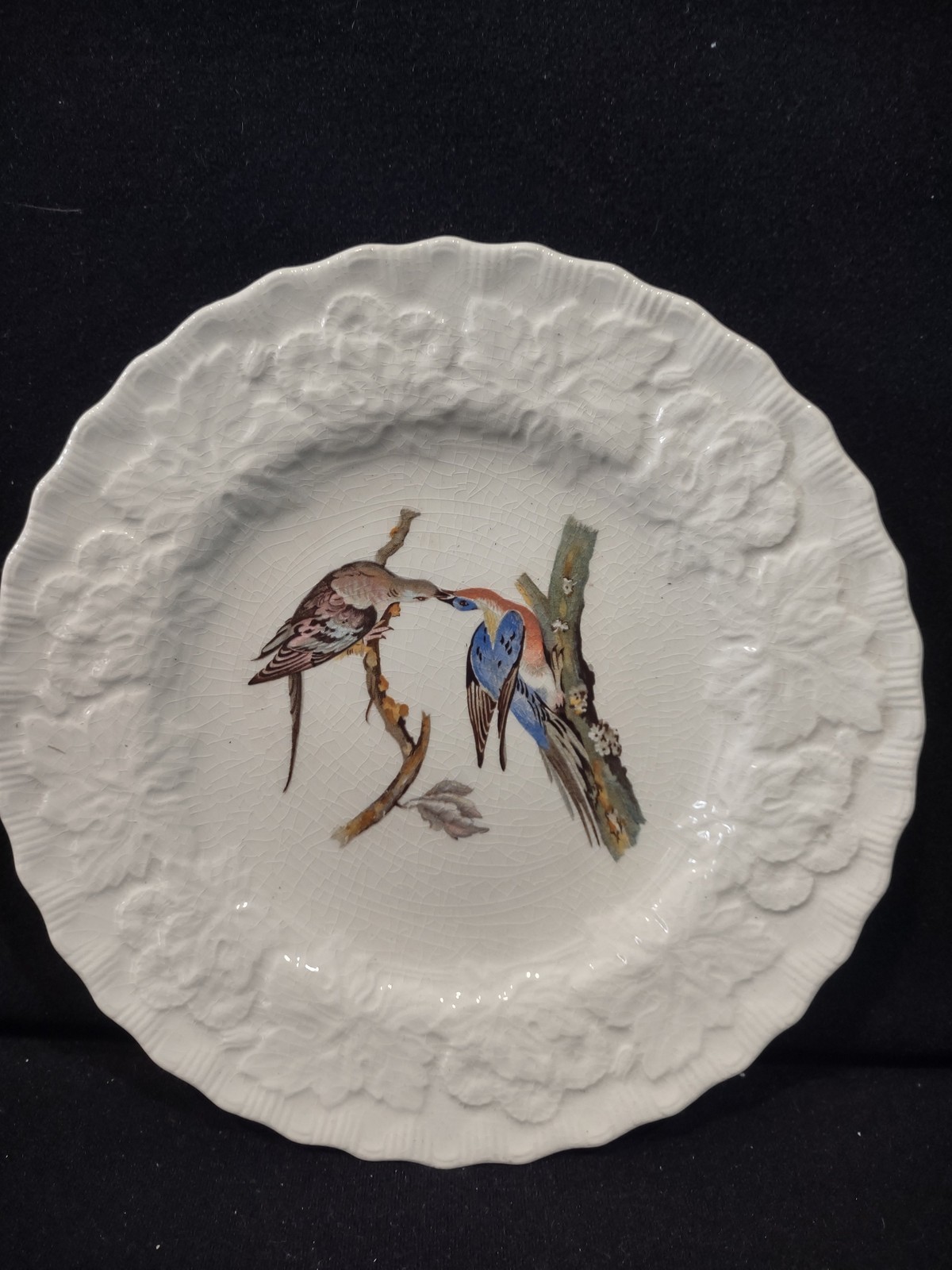 Vintage Alfred Meakin Audubon Passenger Pigeon Extinct Cottagecore Plate [5869]