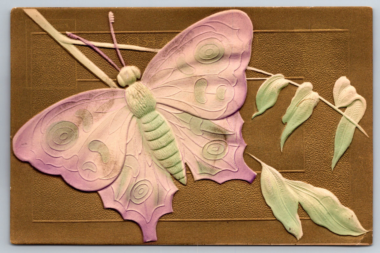 Vintage Postcard Moth Butterfly Heavy Embossing Divided Back Unposted ~10058