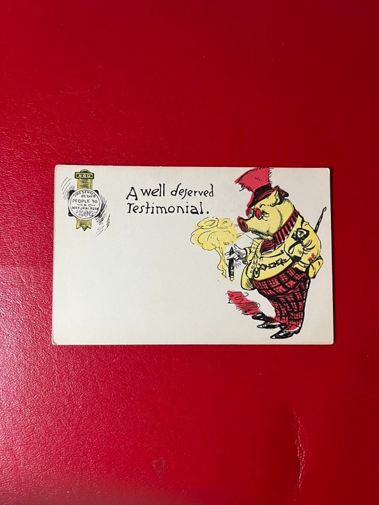 Antique Pre-1907 Comic Pig Postcard A Well Deserved Testimonial Natural Born Hog