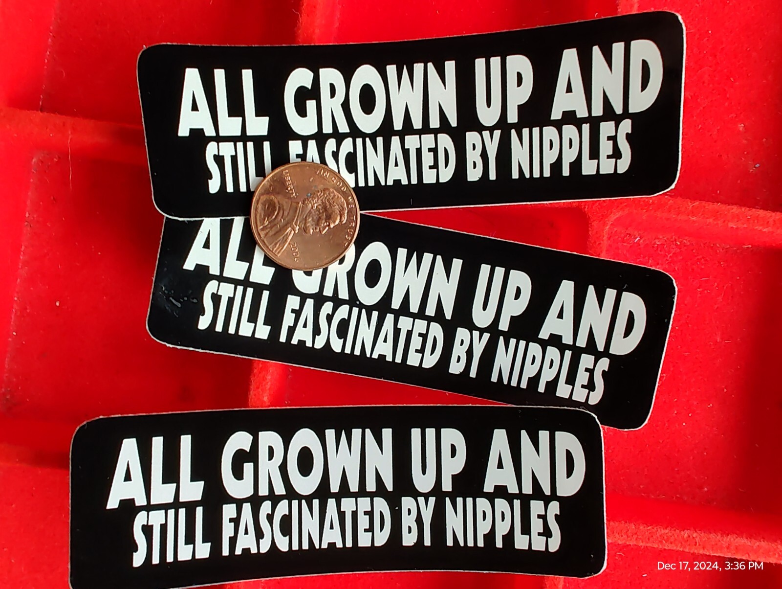 All Grown up & still fascinated with nipples 3 pc small Hand made Decal stickers