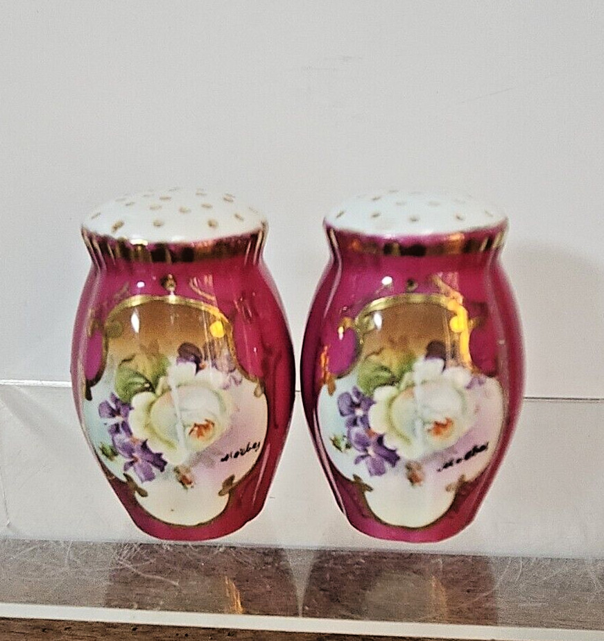 HANDPAINTED BAVARIA PORCELAIN SALT & PEPPER SHAKERS