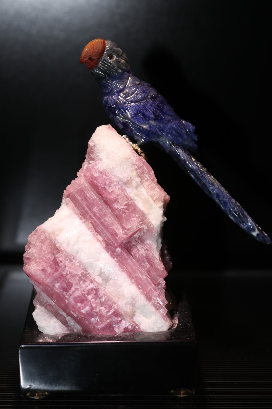 Peter Muller Hand Carved Sodalite Macaw on Pink Tourmaline Base 4 3/4 Peter Muller Hand Carved Sodalite Macaw on Pink Tourmaline Base 4 3/4