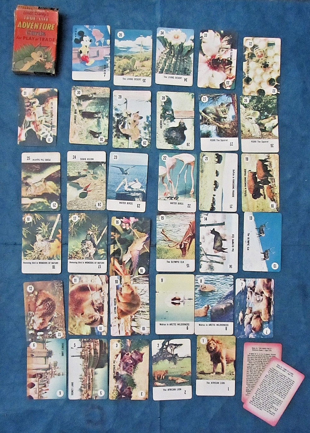 Vintage 1950\'s Walt Disney\'s True-Life Adventure cards for play or trade