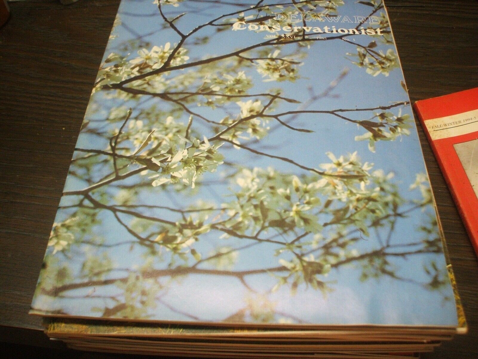 DELAWARE CONSERVATIONIST Magazine - 1983 #1