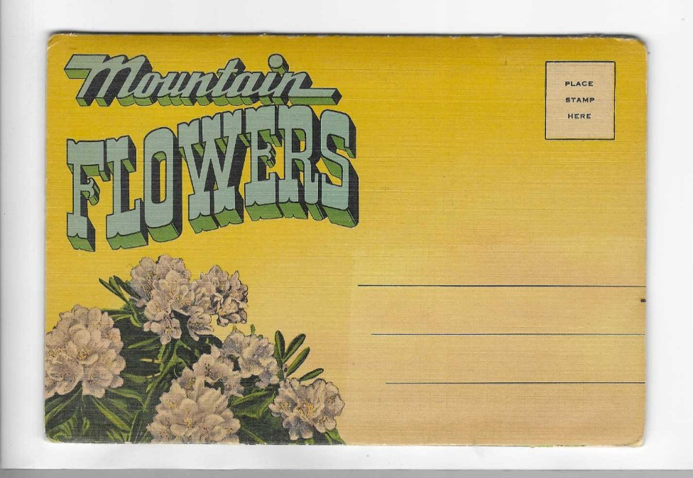 VINTAGE-POSTCARD FOLDER-MOUNTAIN FLOWERS