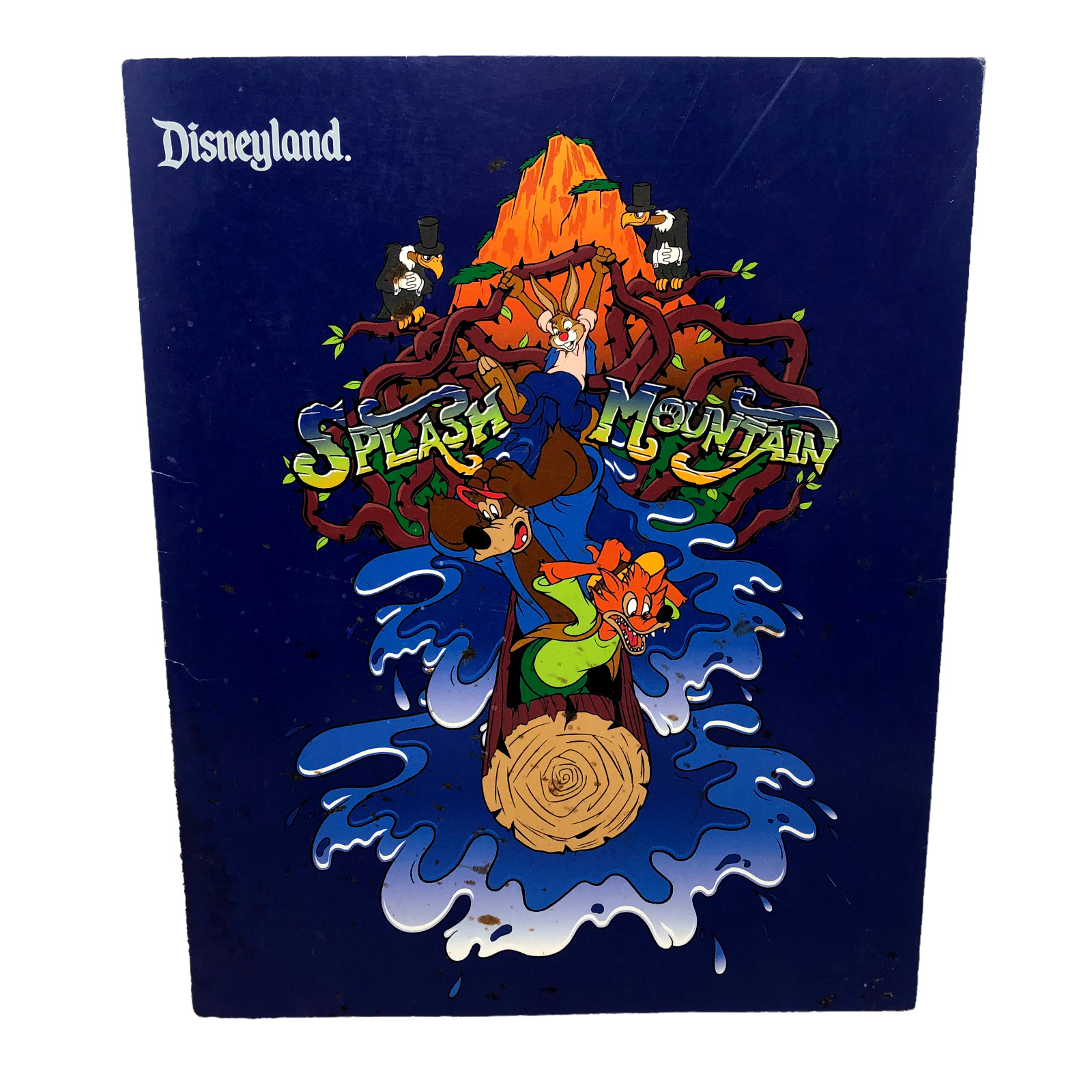 VTG Disneyland  Splash Mountain Ride Photo Pick Up Card Folder