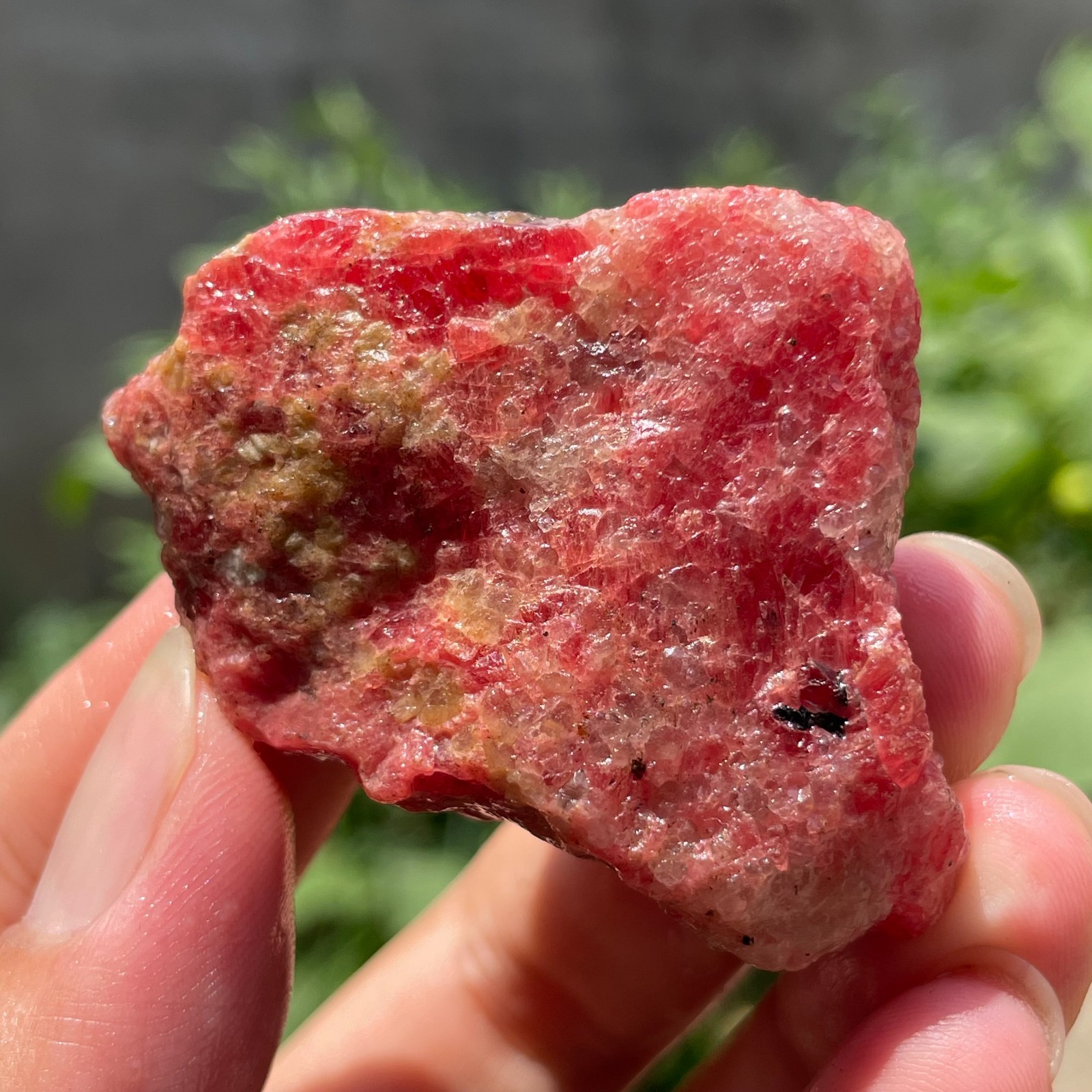 66g Rough Natural Rhodonite Quartz Crystal Mineral Specimen Healing