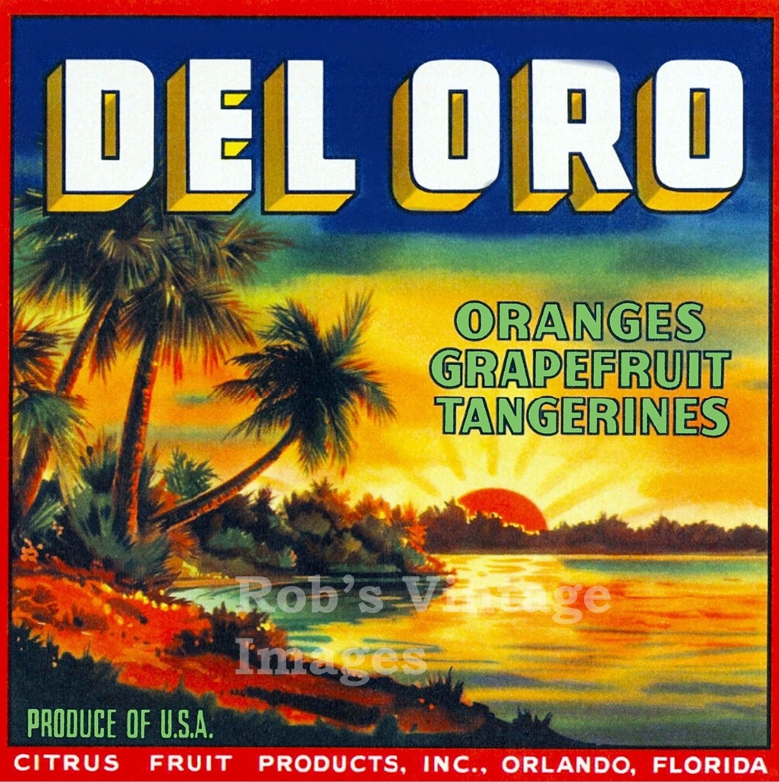 Del Oro Orange Citrus Fruit Crate Label Art Print Orlando Fl 13x13