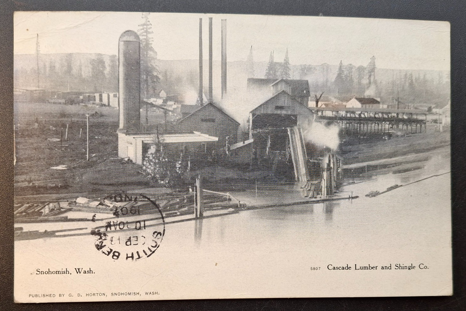 SNOHOMISH WA Cascade Lumber & Shingle Co Postcard 1907