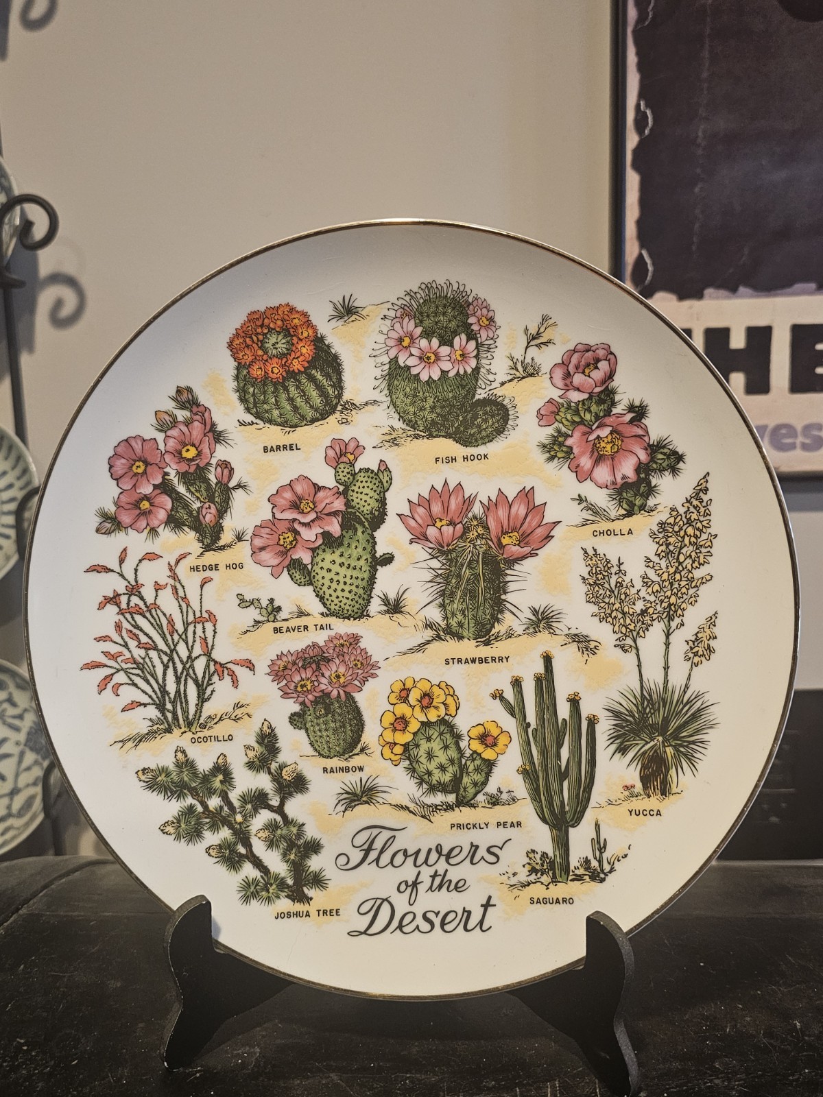 Vintage Plate Cactus Plant Desert Flower Southwest Arizona Texas New Mexico