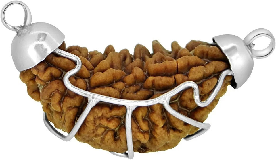 1 Mukhi Rudraksha Natural Certified Original Nepali Big Bead for Men & Women Spi