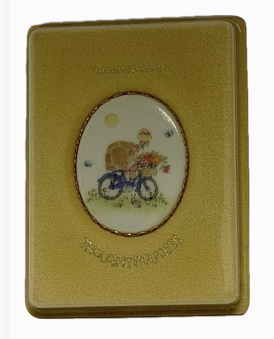 Vintage 1973 Hallmark Charmer Cameo Thoughtfulness Turtle On Bicycle Pin Brooch