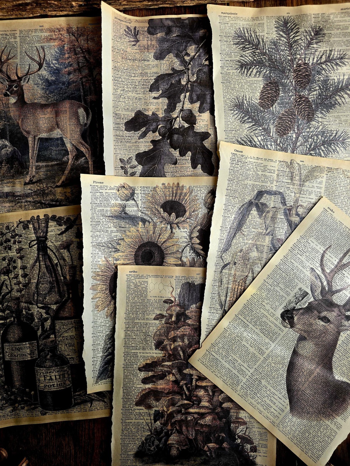Vintage Style Botanical Ephemera Woodland Prints on Original Dictionary 4 Pages