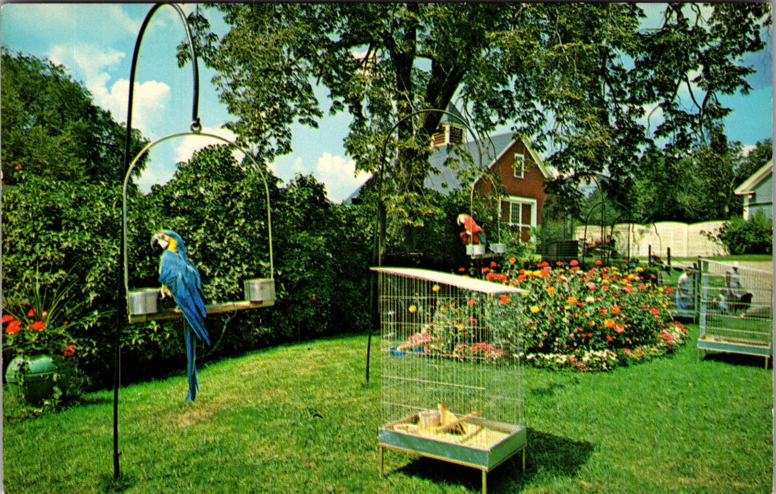 The Strangest Farm on Earth Nashua NH Vintage Postcard TP12-19