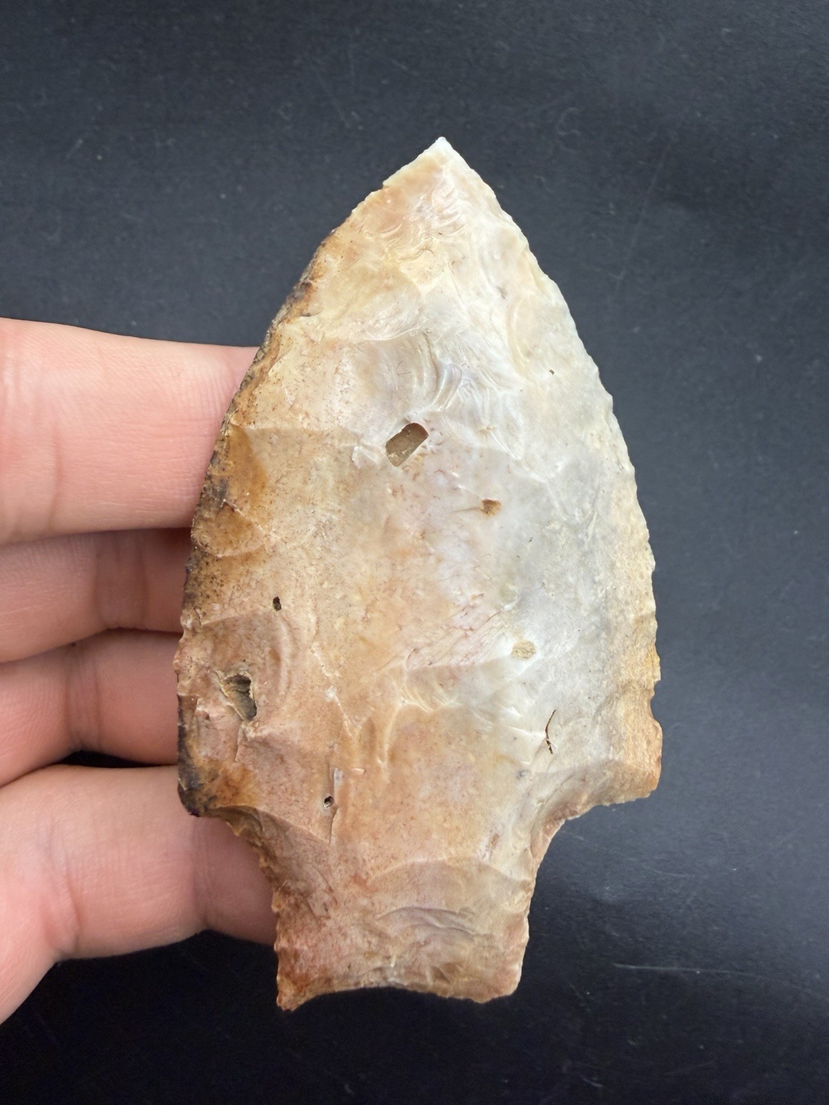 VERY FINE FLORIDA ARTIFACT MIDDLE ARCHAIC AUTHENTIC NATIVE AMERICAN ARTIFACT VERY FINE FLORIDA ARTIFACT MIDDLE ARCHAIC AUTHENTIC NATIVE AMERICAN ARTIFACT
