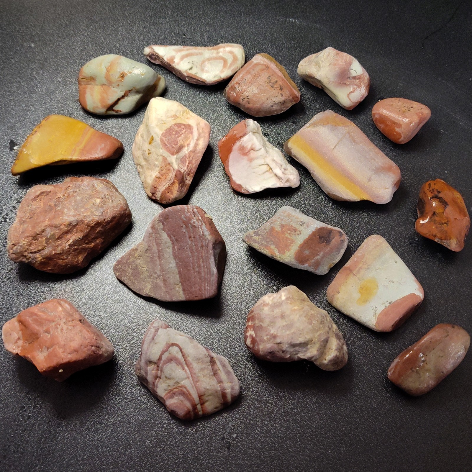 1/2 Pound Rough Wonderstone Rhyolite Jasper, Northern Nevada USA - Mixed Lot