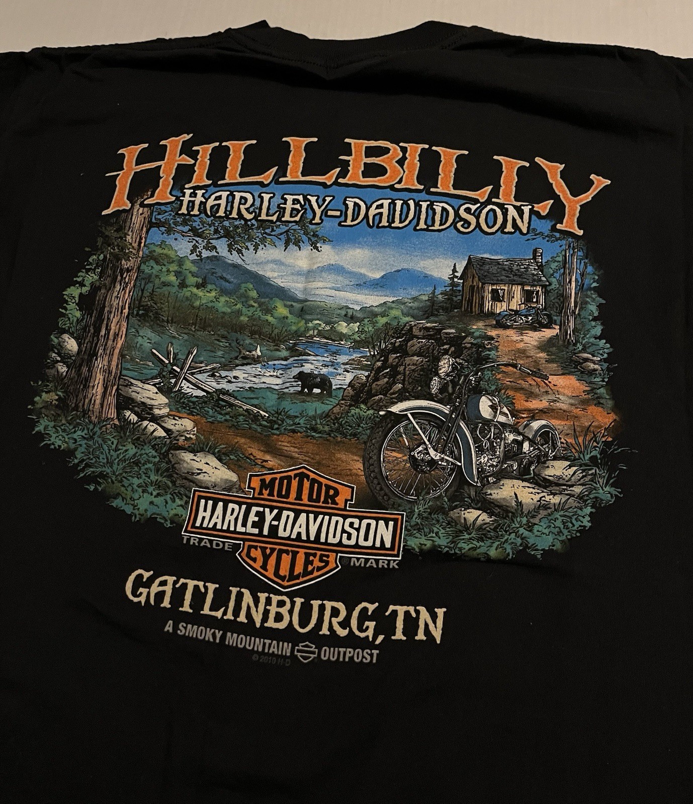 VTG Harley Davidson Motorcycles 2012 Hillbilly Gatlinburg T-Shirt LARGE Biker