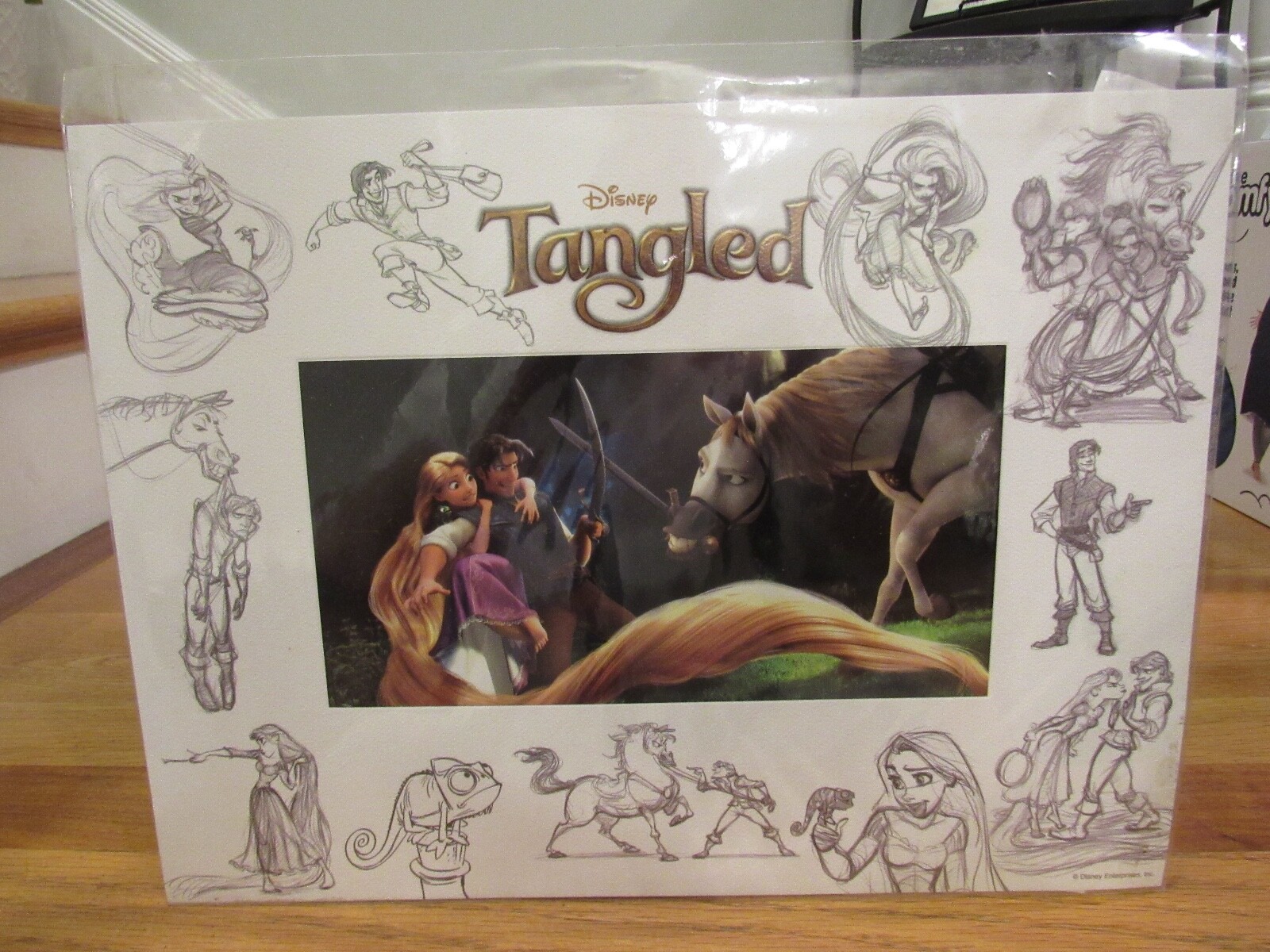 PRISTINE RARE Disney TANGLED Lithograph Sketch Frame Promotional Limited to 1000 PRISTINE RARE Disney TANGLED Lithograph Sketch Frame Promotional Limited to 1000