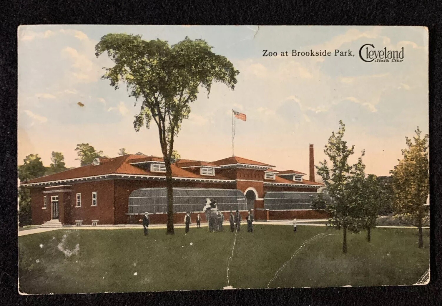 c1915 Cleveland Ohio Brookside Park Zoo Postcard DVB 