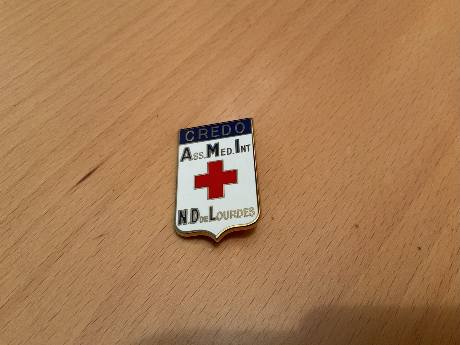 Vintage French International Assoc Of Notre Dame Of Lourdes Badge 