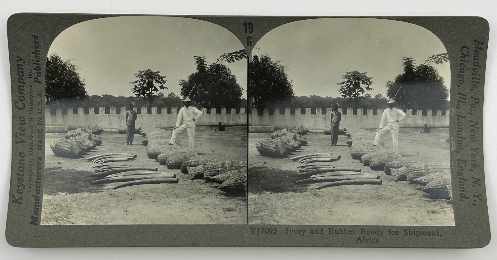Antique Keystone Stereoview V17095 Tusks & Rubber Ready for Shipment Africa L-2