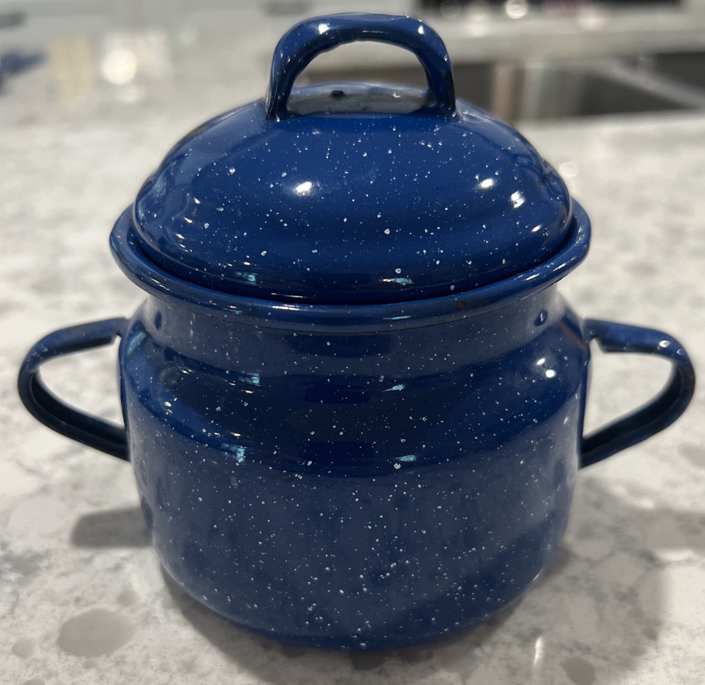 Vintage Blue Speckled Enameled Metal Pot w/2 Handles & Cover Preowned Quick Ship
