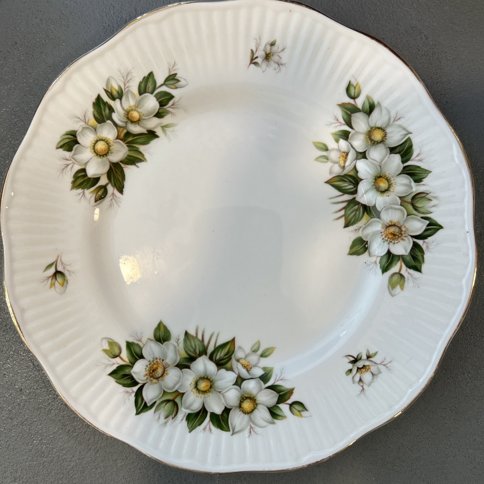Vintage Rosina Queen's Fine Bone China CHRISTMAS ROSE 8” Plate England Gold Trim
