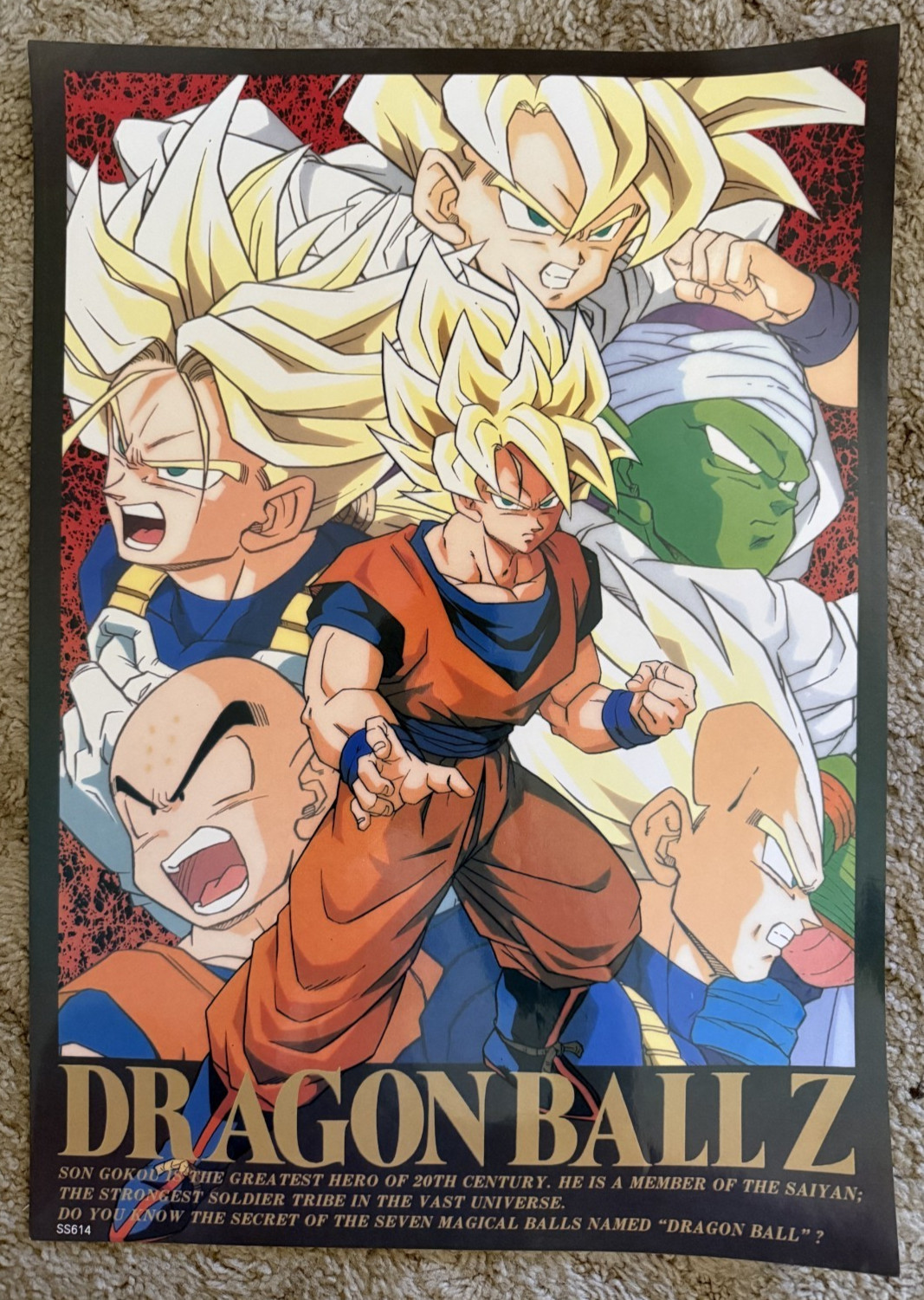 Dragon Ball Z poster 21 Dragon Ball Z poster 21