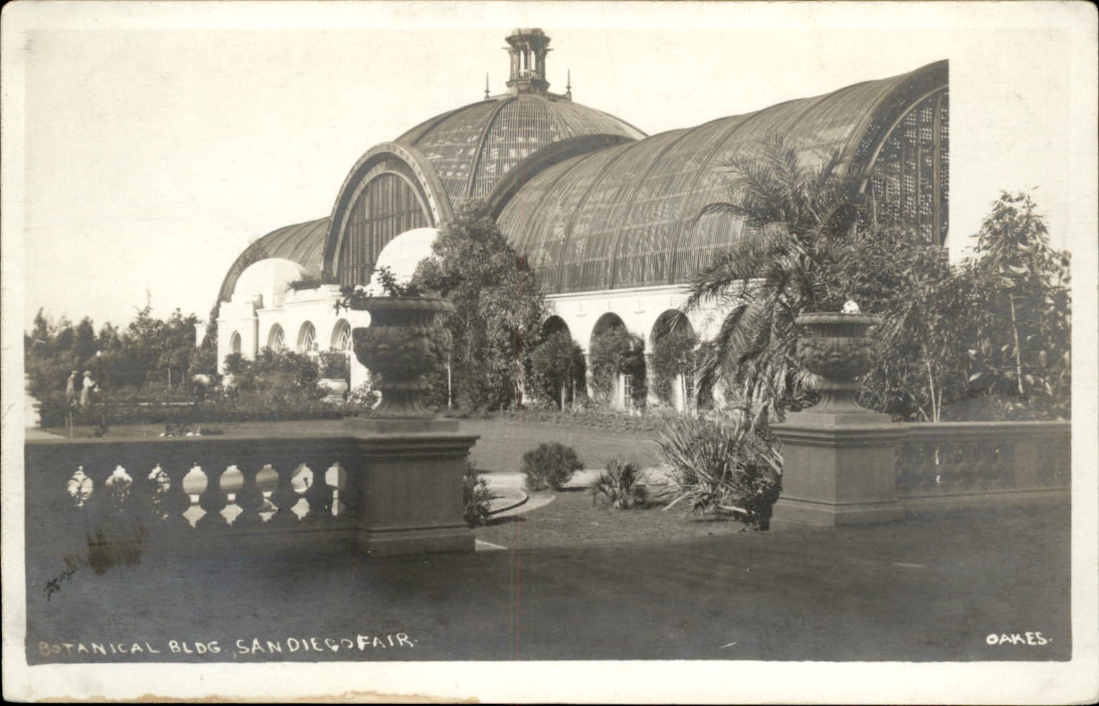 San Diego CA Botanical Building Oakes c1915 Real Photo Vintage Postcard bhn
