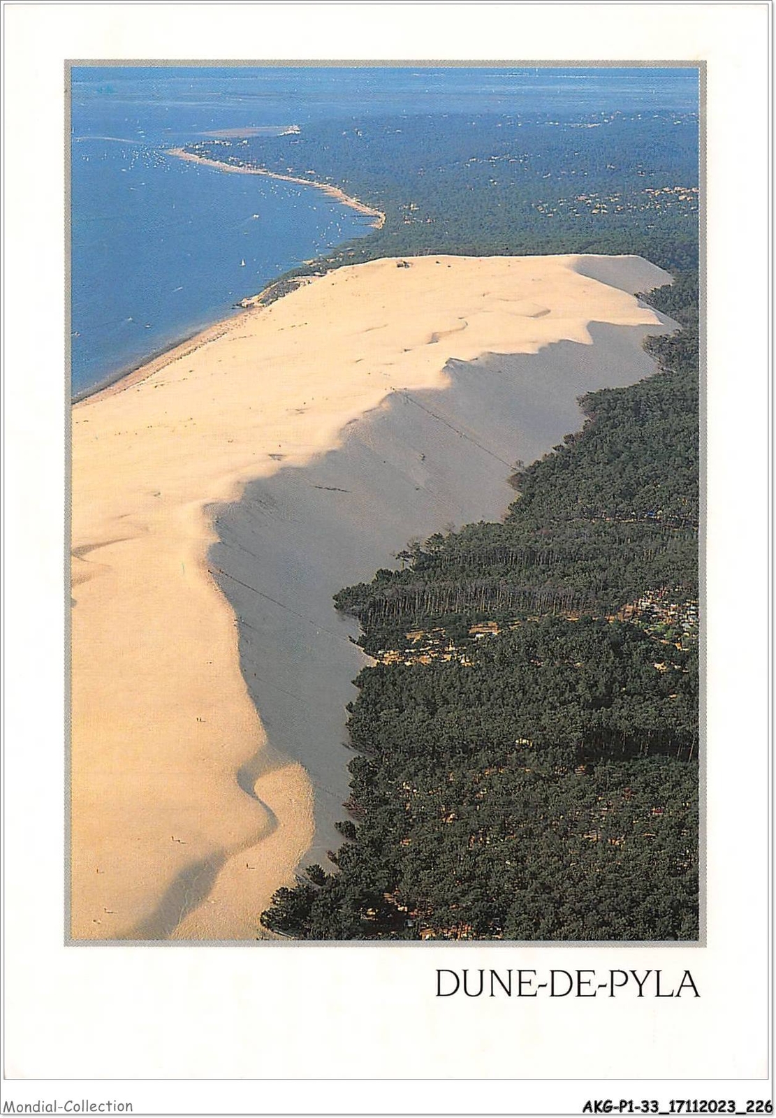 AKGP2-0184-33 - PYLA-SUR-MER - dune-de-pyla - the highest in Europe