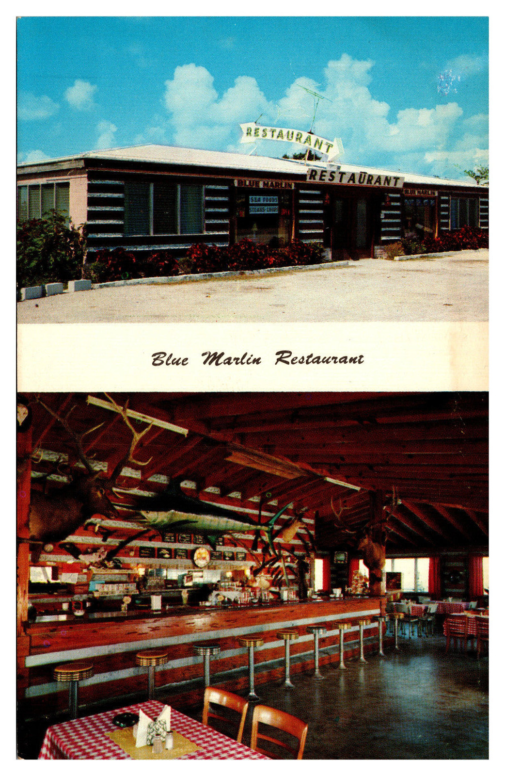 Key Largo, FL Hall\'s Blue Marlin Restaurant Taxedermy -A60