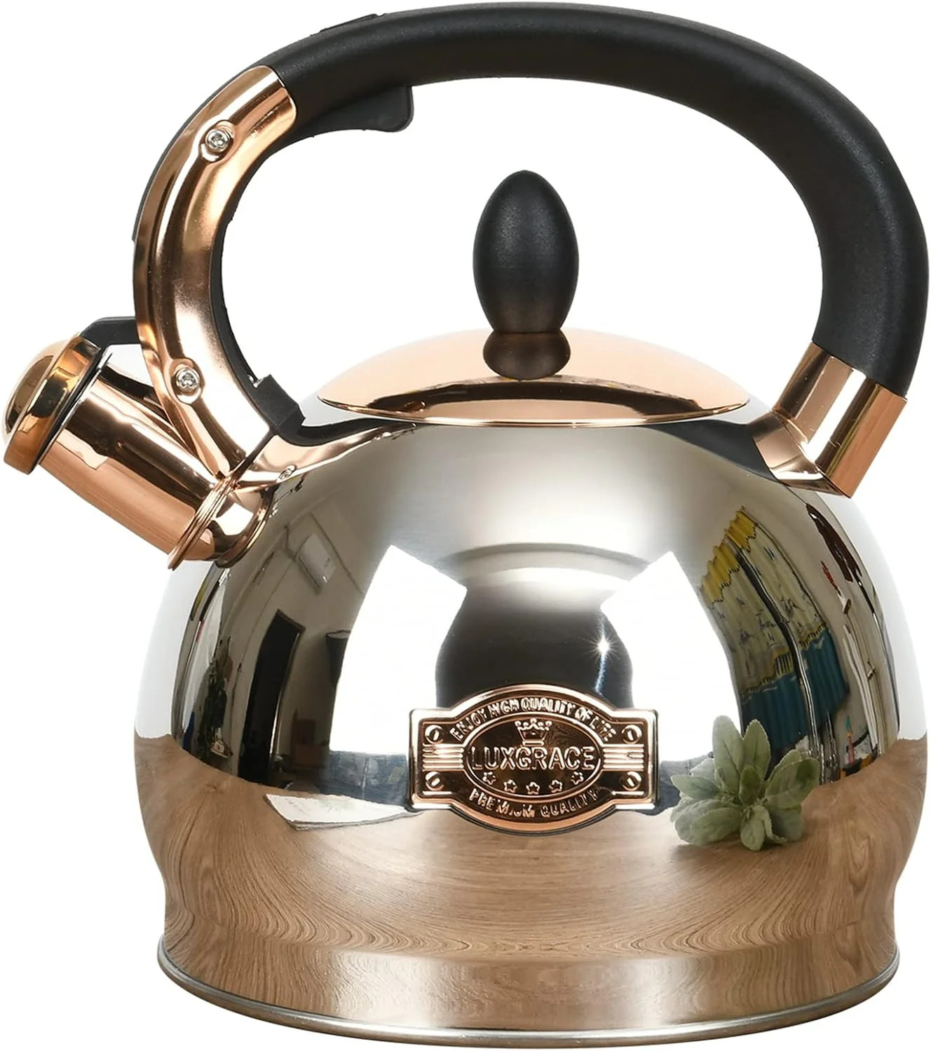 Stainless Steel Whistling Tea Kettle with Metal Capsulated Bottom for Quick Heat