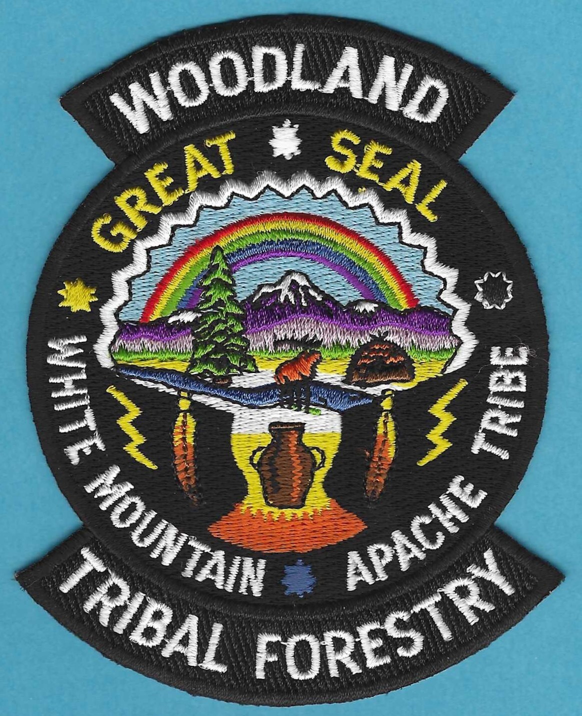 WHITE MOUNTAIN APACHE ARIZONA WOODLAND TRIBAL FORESTRY PATCH