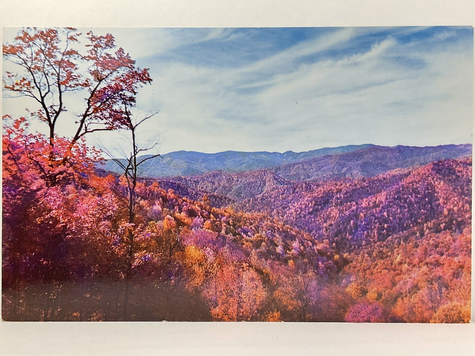 Postcard Panoramic Vista In Early Fall Smoky Mountains National Park Unused