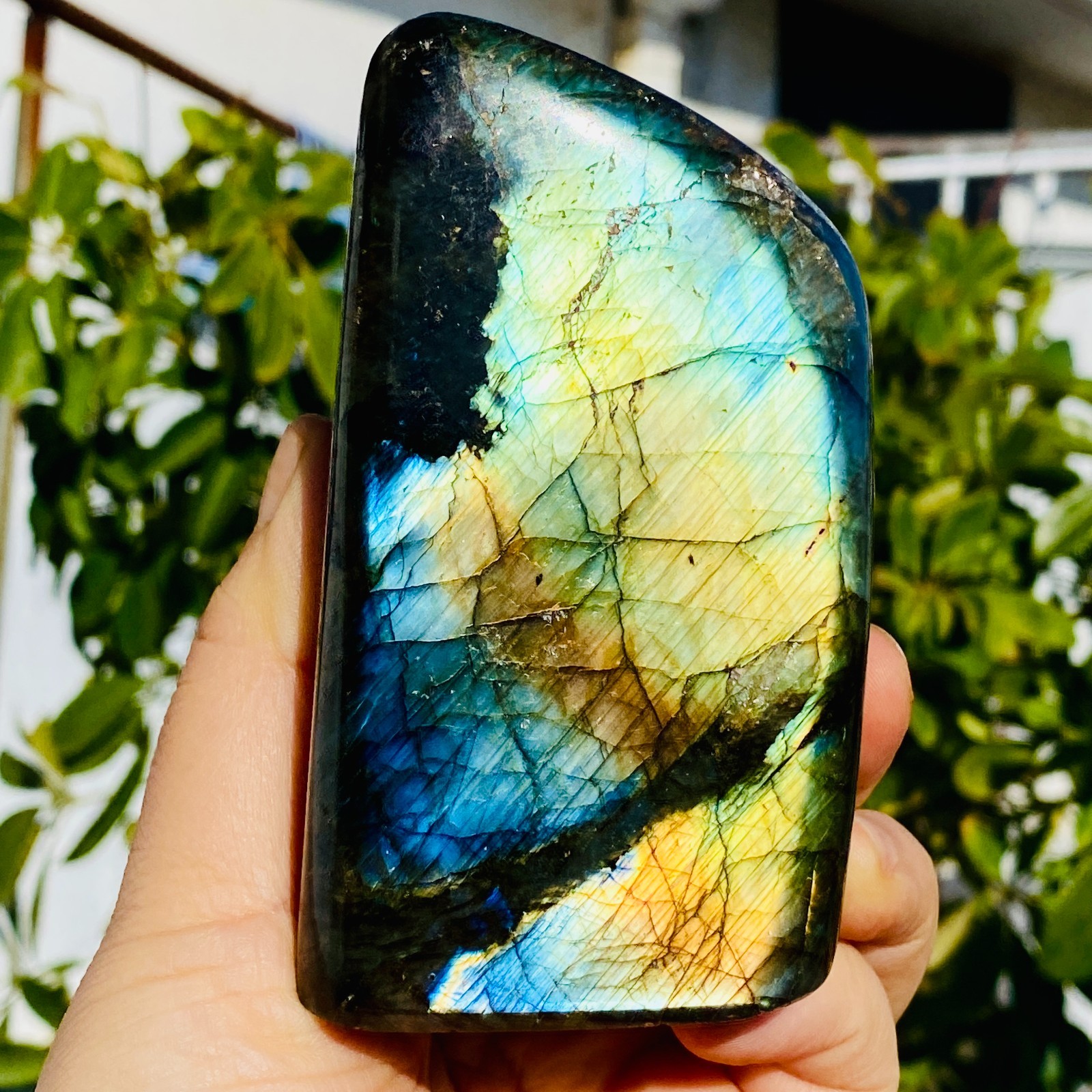 1.27LB Natural Gorgeous Labradorite QuartzCrystal Stone Specimen Healing