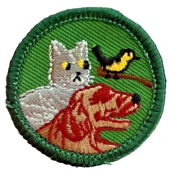 JUNIOR Girl Scout Patch Badge Green Round--PET CARE pets Dog Cat Bird fish Vtg