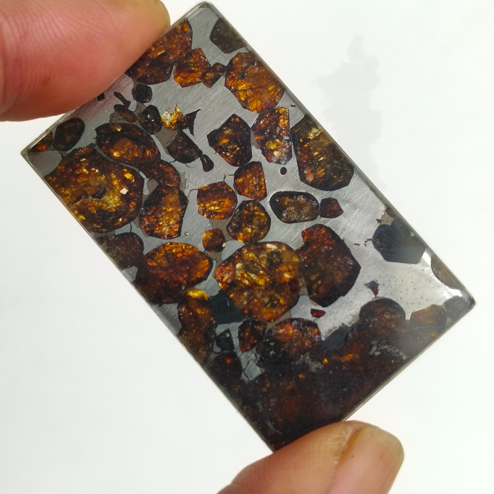 100% Natural Sericho Pallasite Meteorite Rectangle Perfect Slices Glass Surface