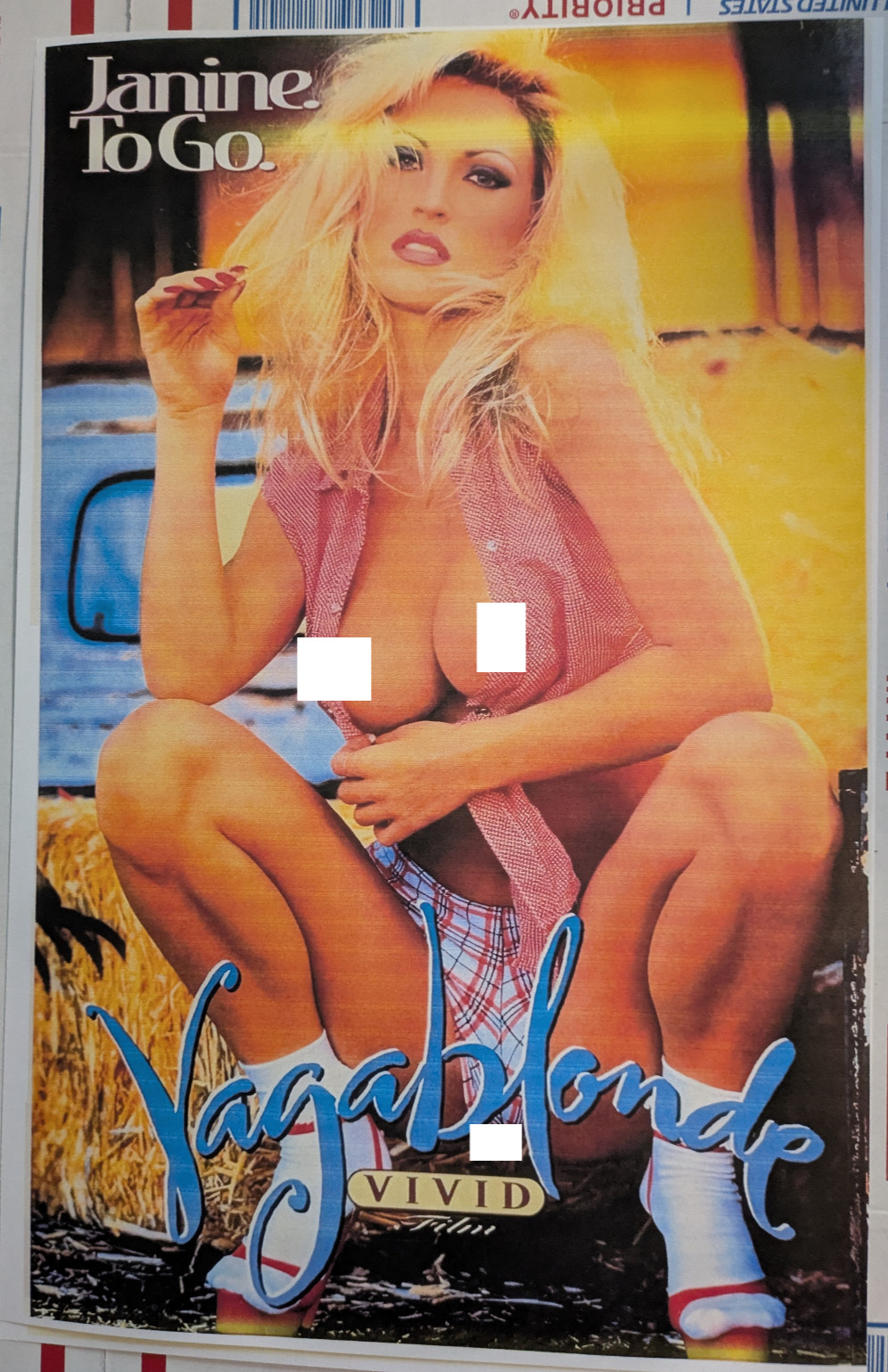 Adult Pin-Up Vintage Poster 11X17 Vagablond Janine To Go Lindemuller Waters