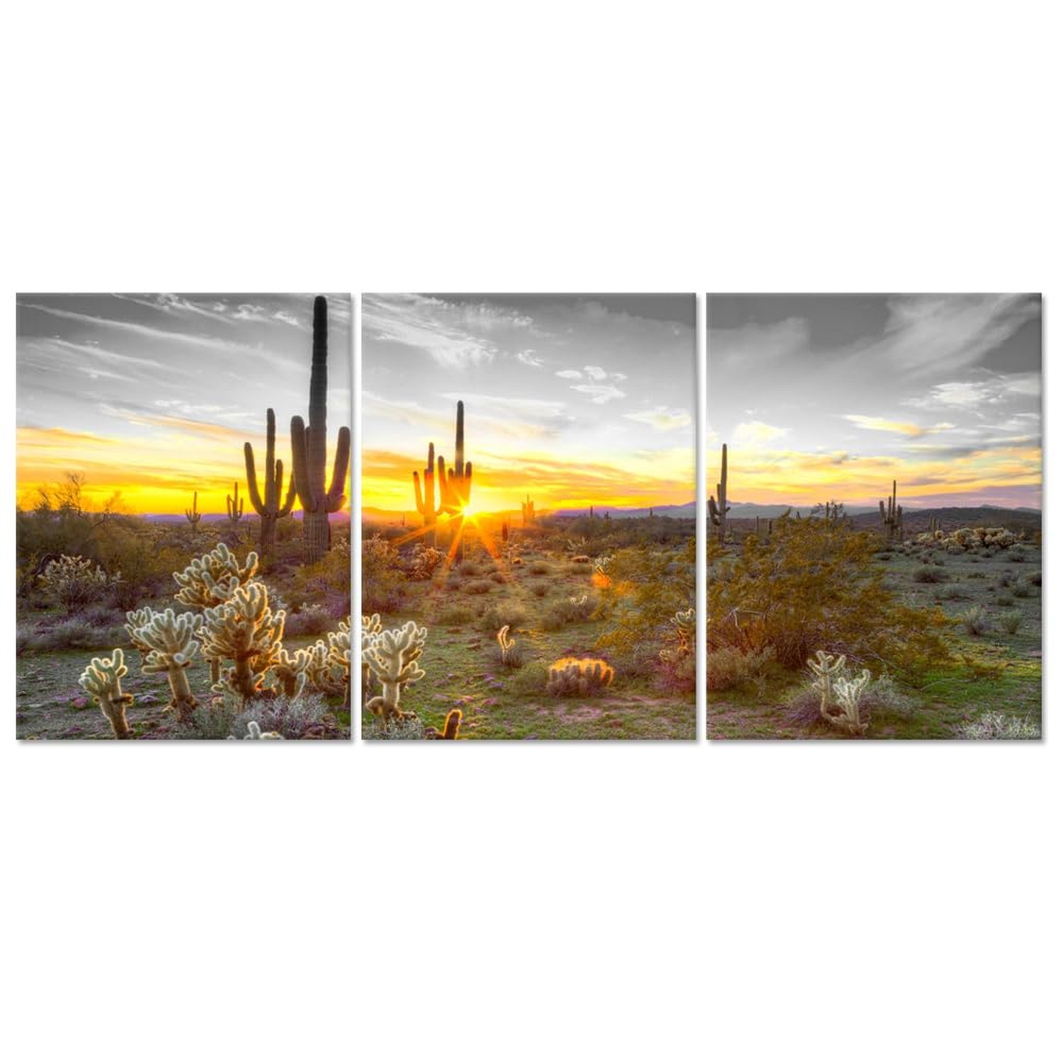 sechars Arizona Wall Art Desert Landscape Picture Painting Southwest Cactus C... sechars Arizona Wall Art Desert Landscape Picture Painting Southwest Cactus C...