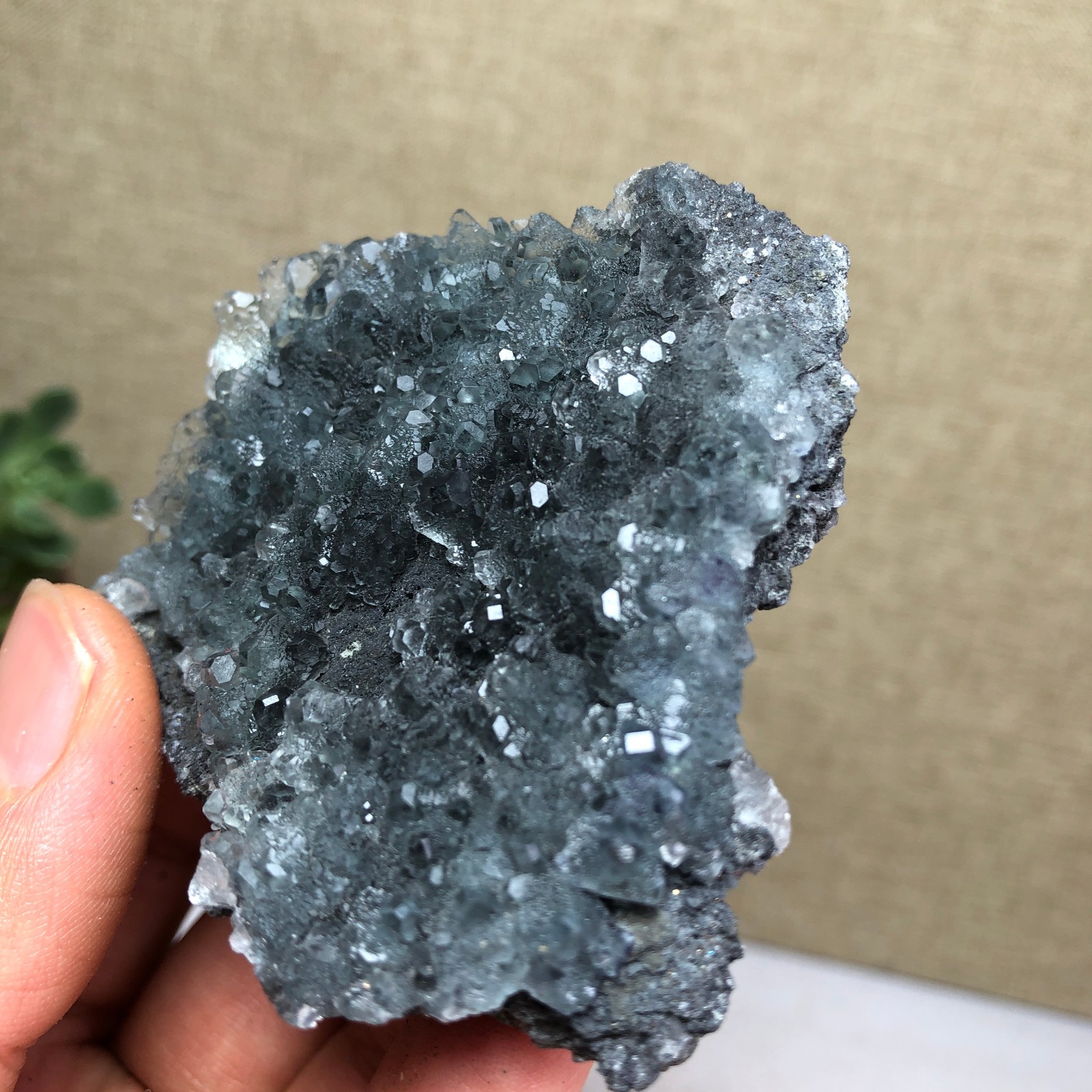97g NATURAL Green Cubic FLUORITE Crystal Cluster Mineral Specimen A4736
