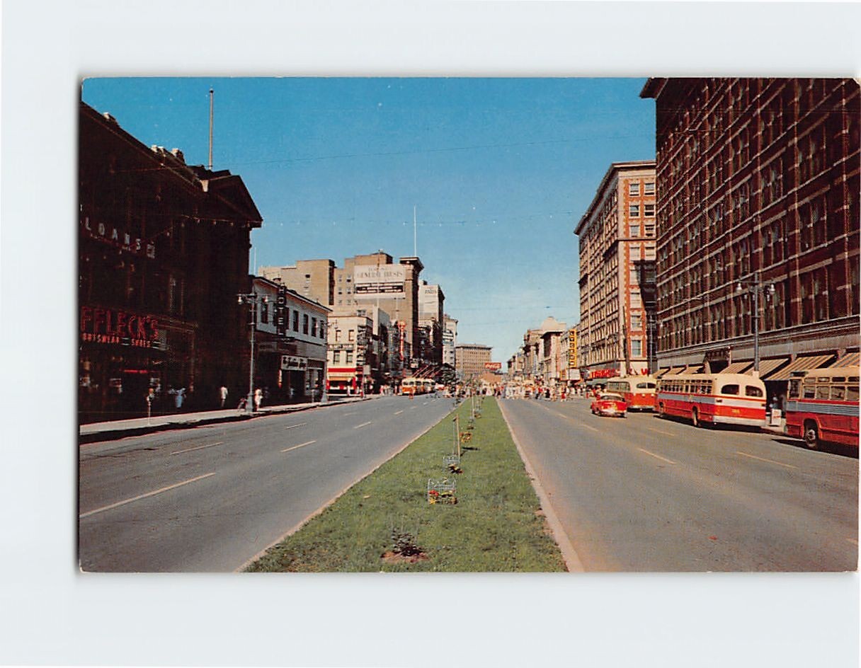 Postcard Flowers Down the Center of Portage Avenue Winnipeg Manitoba Canada